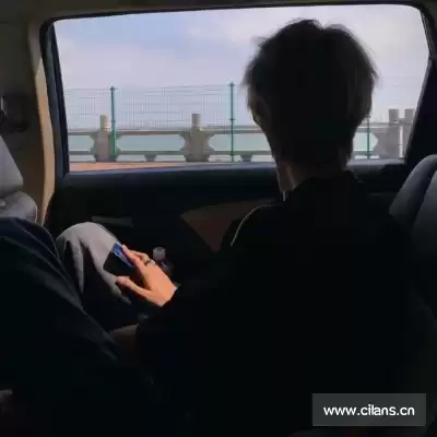 沈维朵